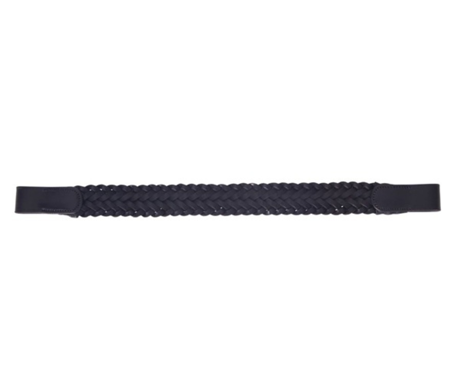 Platinum Plaited Browband image 1